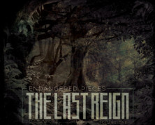 Review: The Last Reign- Endangered Pieces